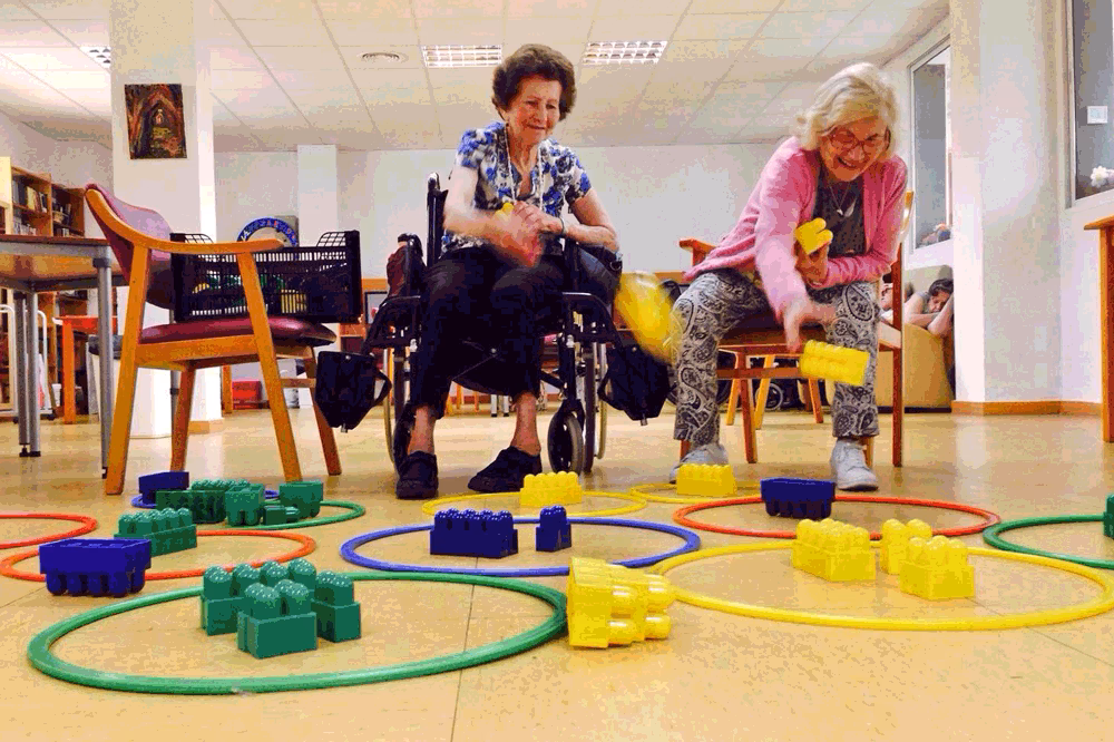 ¿Qué son los circuitos sensoriomotores?