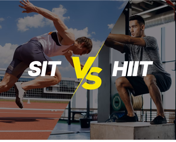 ¿Qué trabaja el SIT?