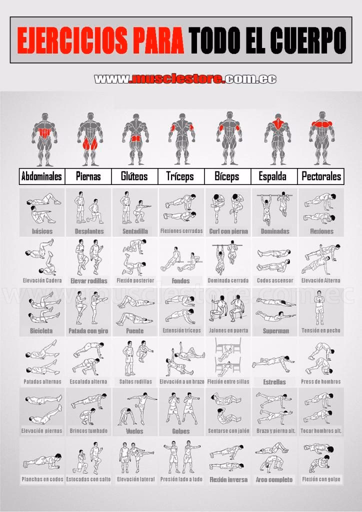 ¿Qué pasa si entreno todo el cuerpo en el gimnasio?