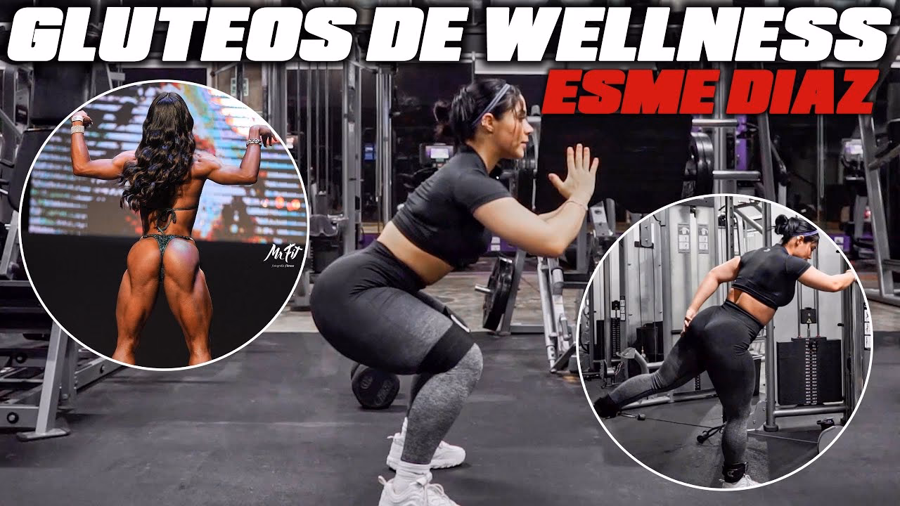 What is the difference between physical fitness and wellness?