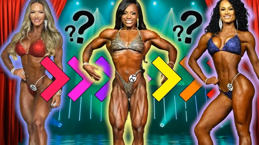 ¿Qué es el wellness fitness?