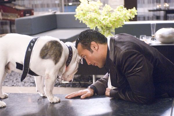 ¿Cómo se llama la película donde sale Peyton?