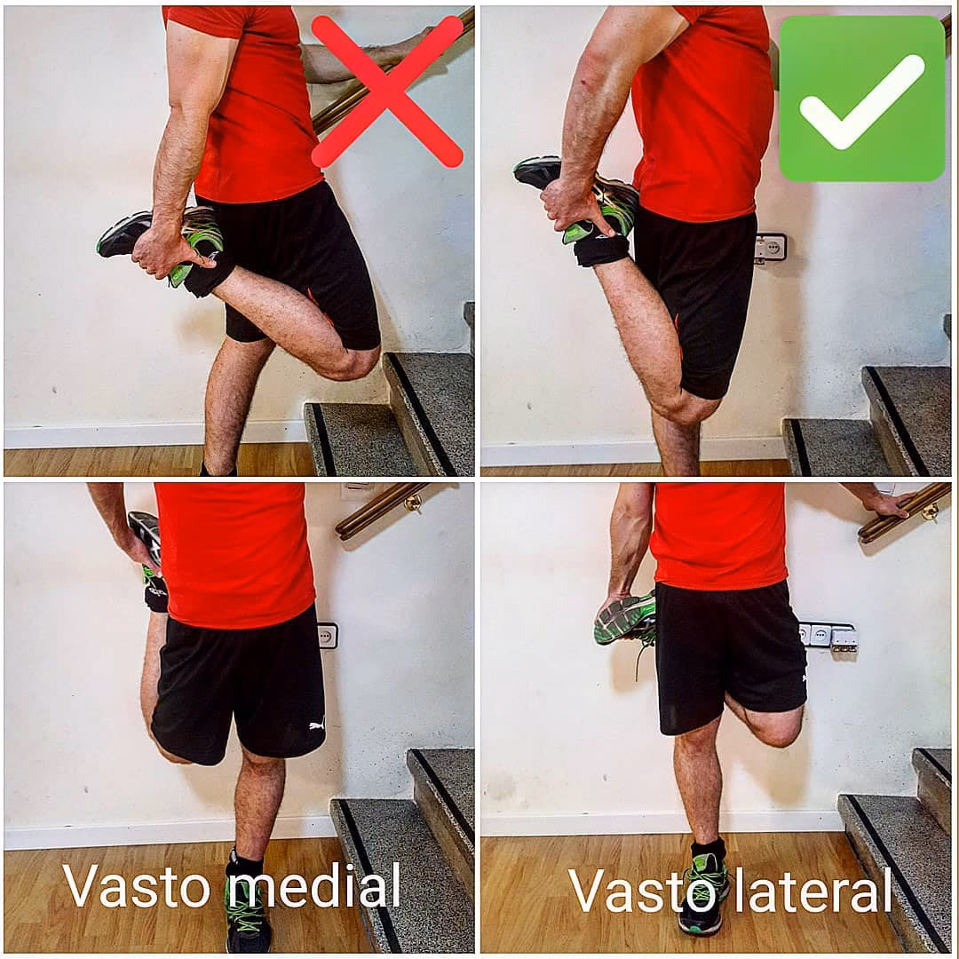 ¿Qué función tiene el vasto externo?