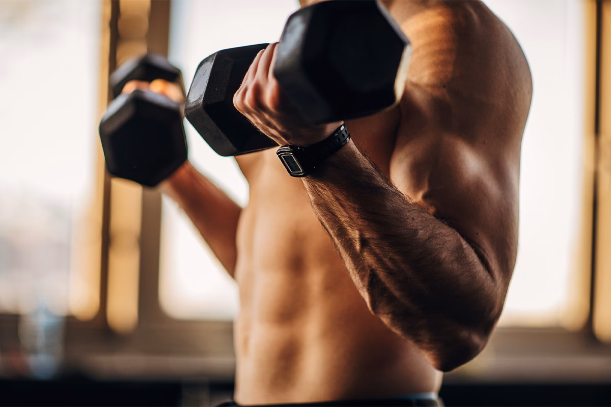 ¿Debería entrenar la espalda y los bíceps juntos?