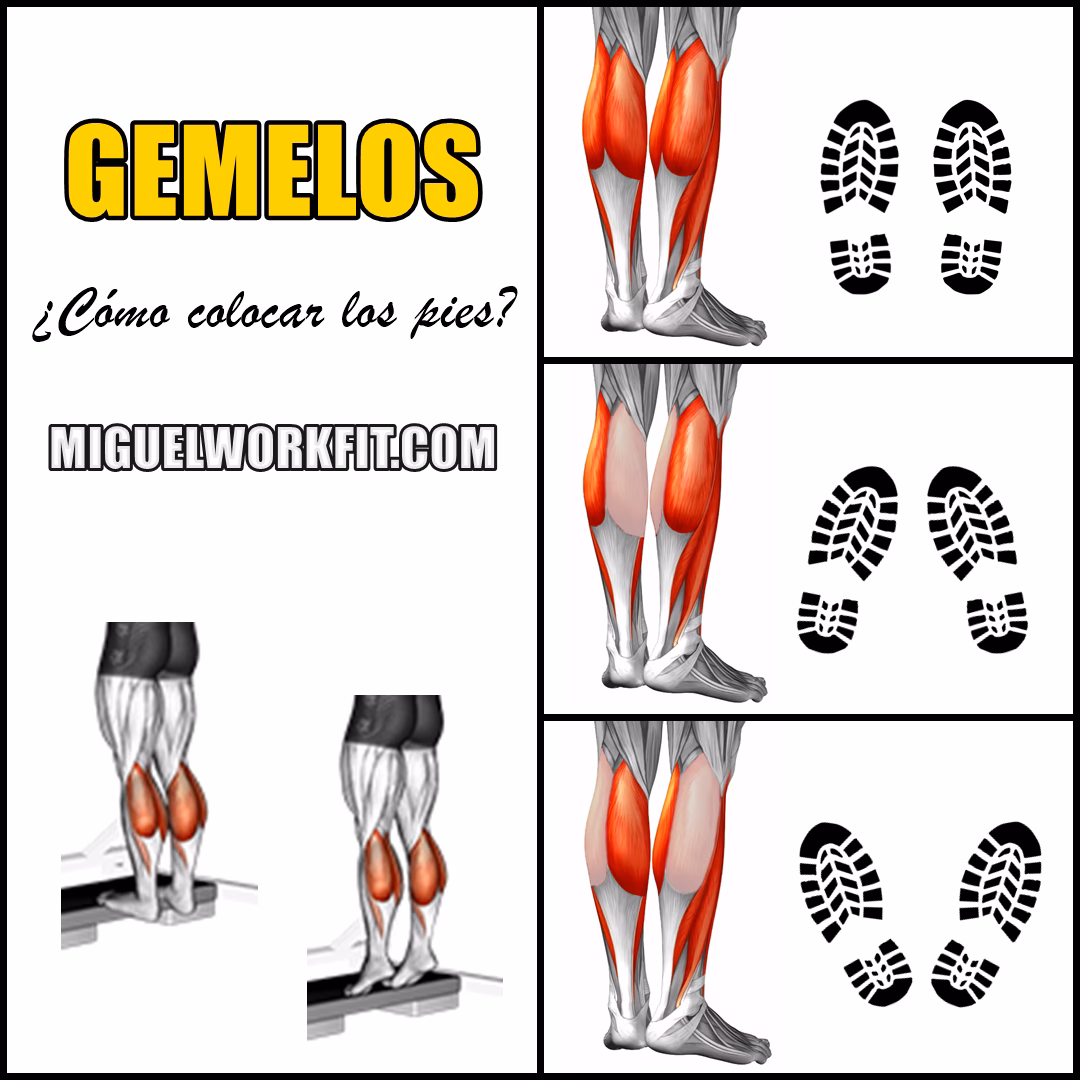 ¿Qué fortalece los gemelos?