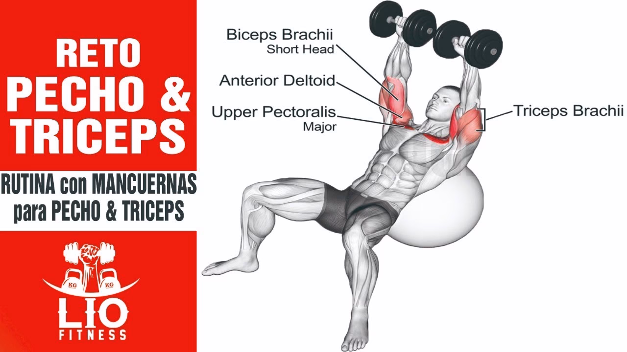 ¿Es mejor hacer bíceps o tríceps con pecho?