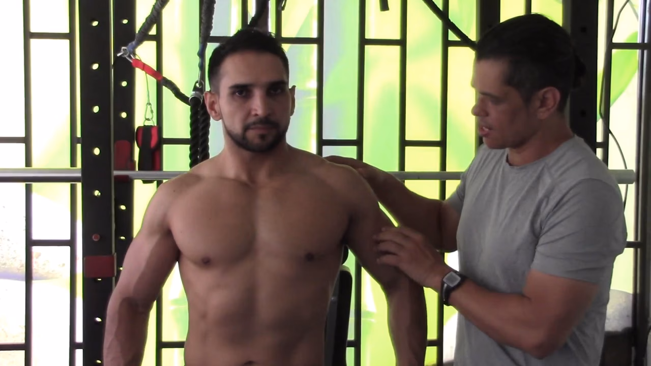 ¿Qué se recomienda entrenar junto con la espalda?