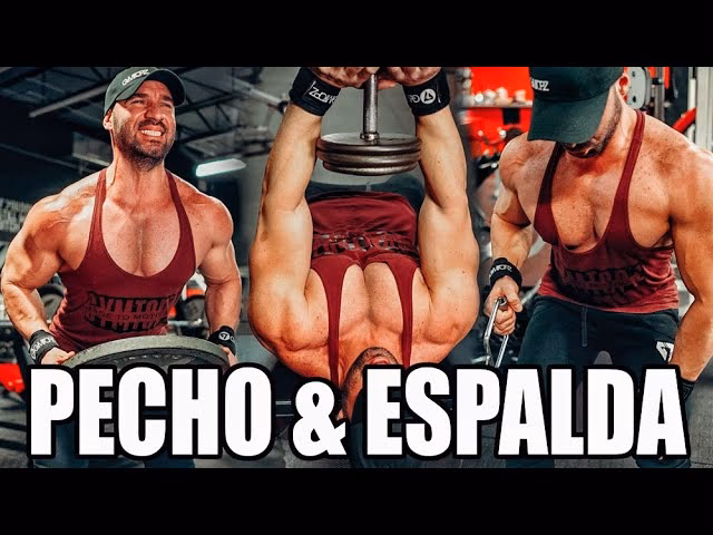 ¿Qué se recomienda entrenar junto con la espalda?