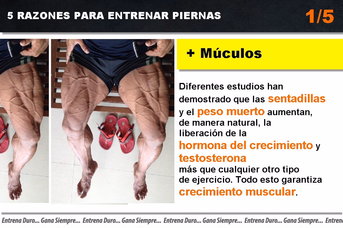 ¿Qué ejercicio aumenta la testosterona?