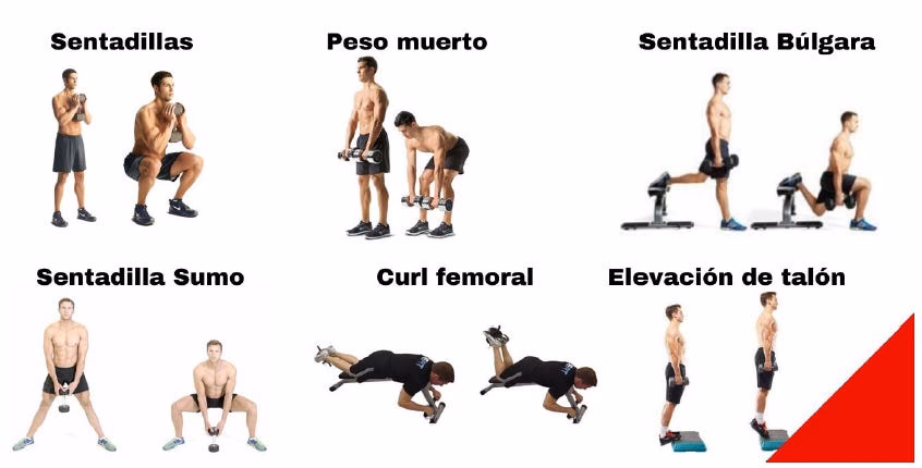 ¿Es posible conseguir piernas fuertes sólo con mancuernas?
