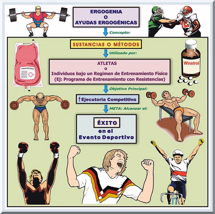 ¿Cuáles son las sustancias ergogenicas?