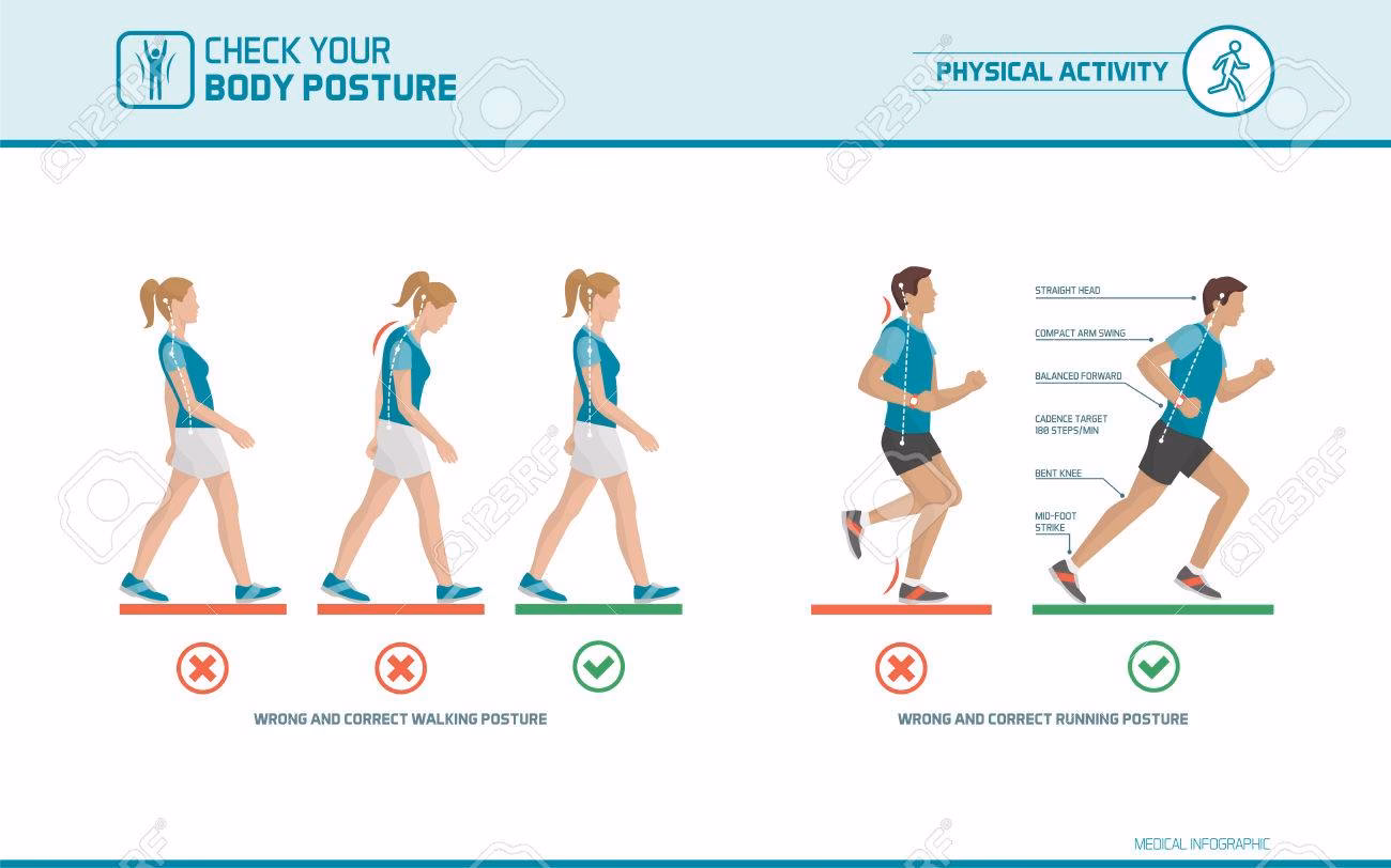 ¿Cuáles son los 4 tipos de ergonomía?
