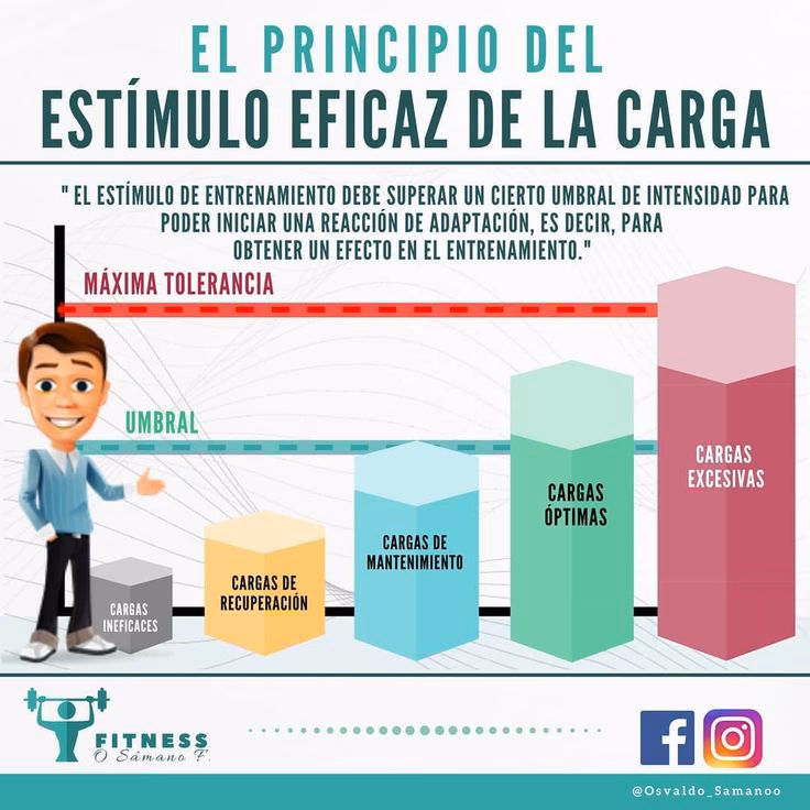 ¿Qué es la estimulación del entrenamiento?