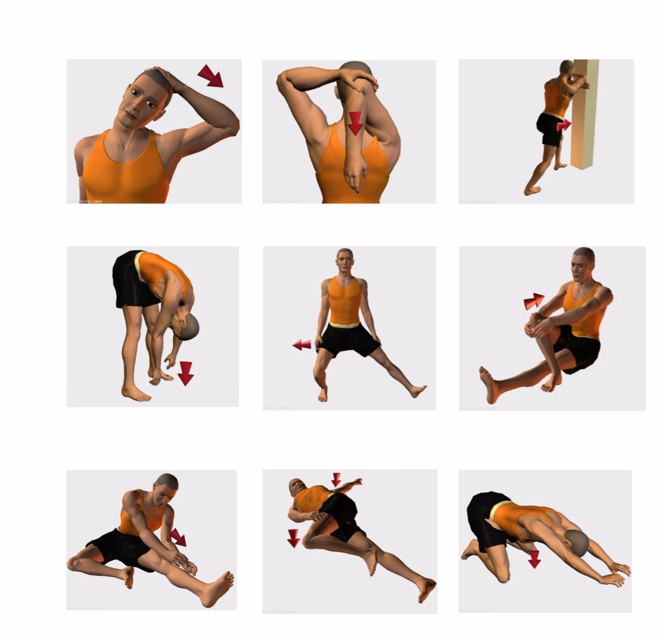 ¿Qué pasa si me estiro después de entrenar?