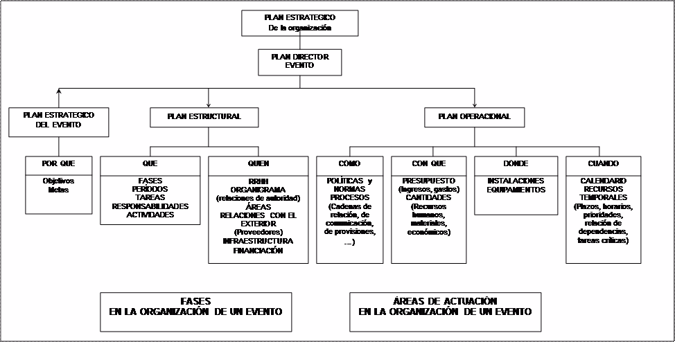¿Cuáles son las etapas de un torneo deportivo?