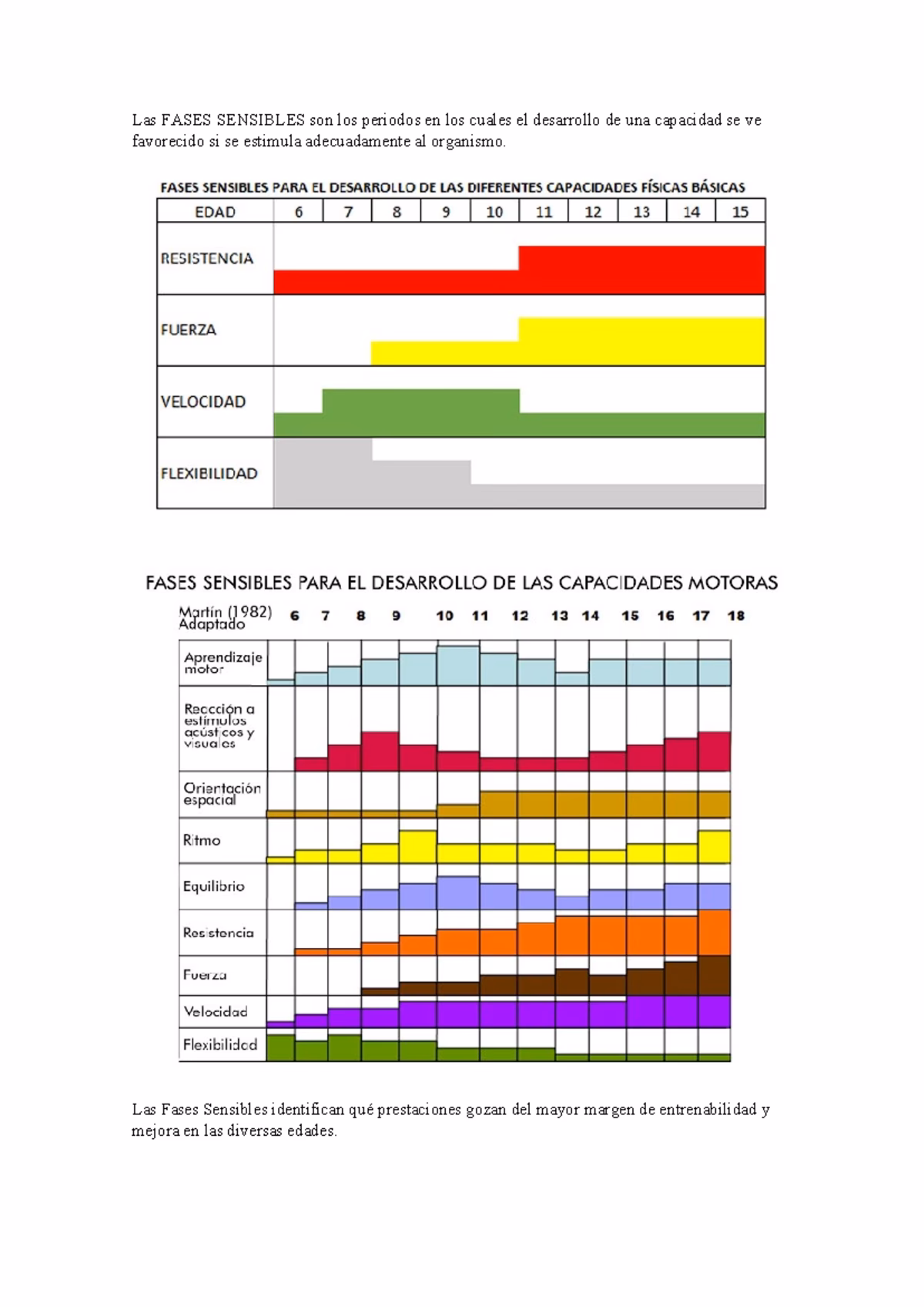 ¿Cuáles son las fases sensibles del ser humano?