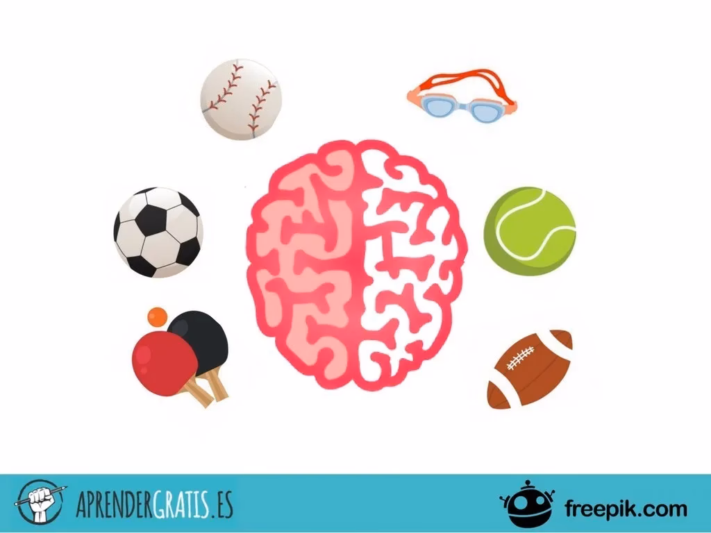 ¿Cuáles son los 4 niveles de desarrollo deportivo?