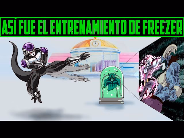 How long does freezer refrigerant last?