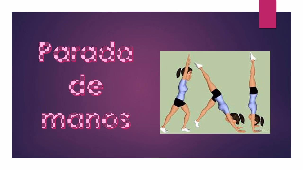¿Cuáles son los 5 componentes más importantes del fitness para la gimnasia?