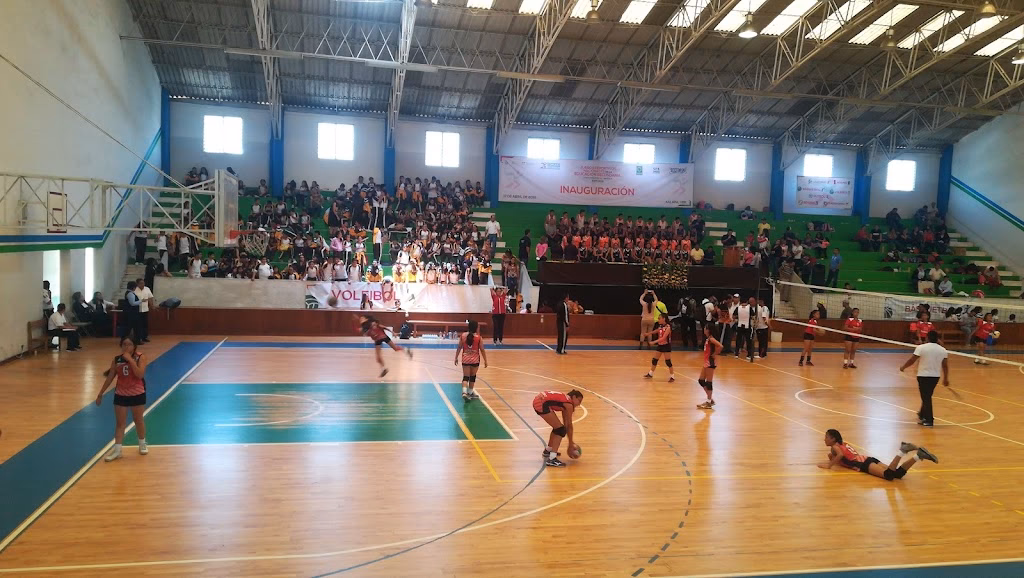¿Quién fue el gimnasio Allende?