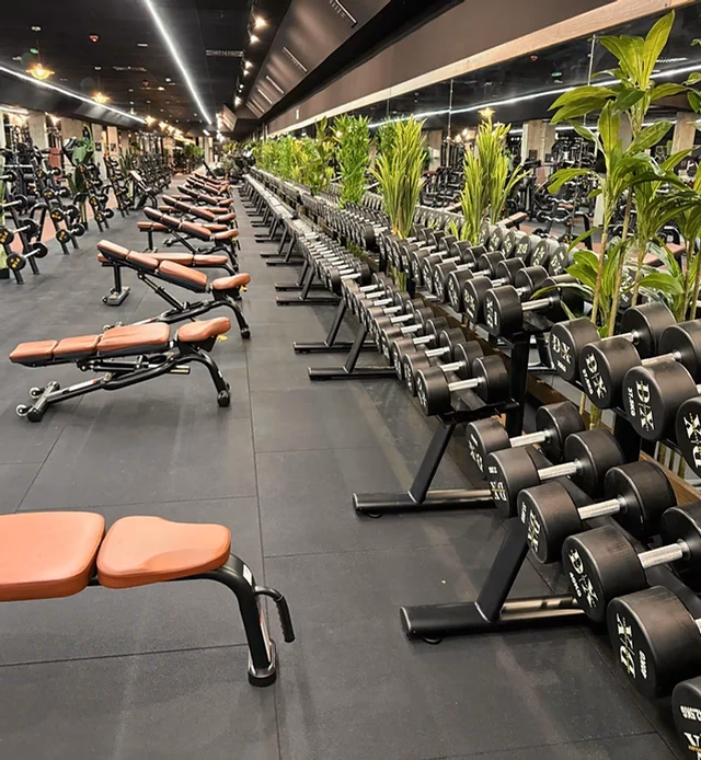 ¿Cómo puedo darme de baja de Areafit?
