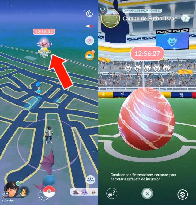 What does elite raid gym mean?