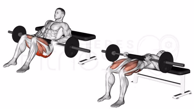 ¿Cuál es la diferencia entre puente de glúteos y hip thrust?