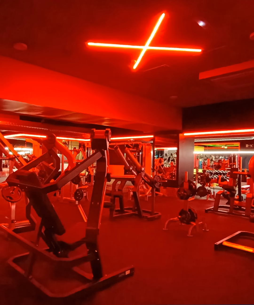 ¿Cuál es el horario de Holiday Gym Albufera?