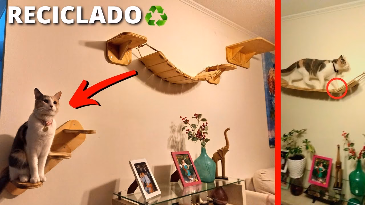 ¿Los árboles para gatos ayudan a los gatos a perder peso?