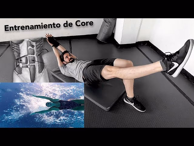 ¿Los nadadores van al gimnasio?