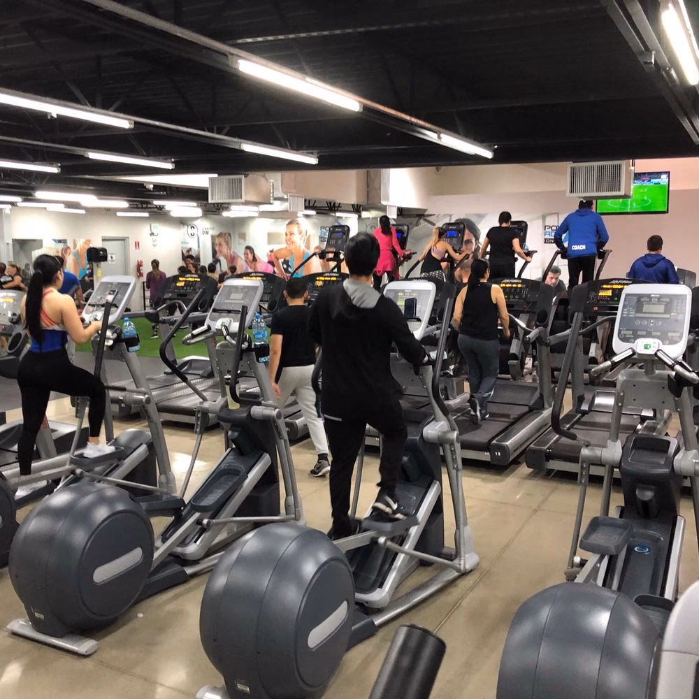 ¿Cómo se llama el gimnasio de Landmark Tijuana?