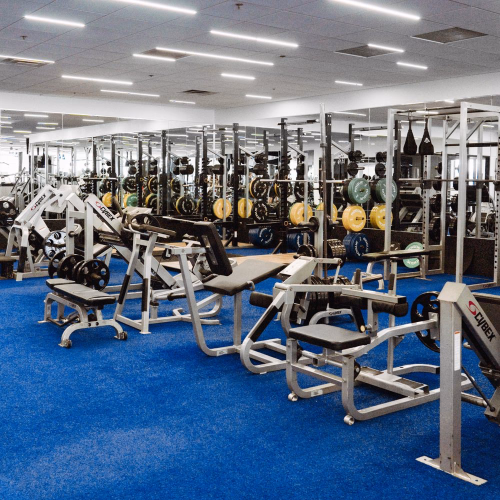 What is considered a cheap gym membership?