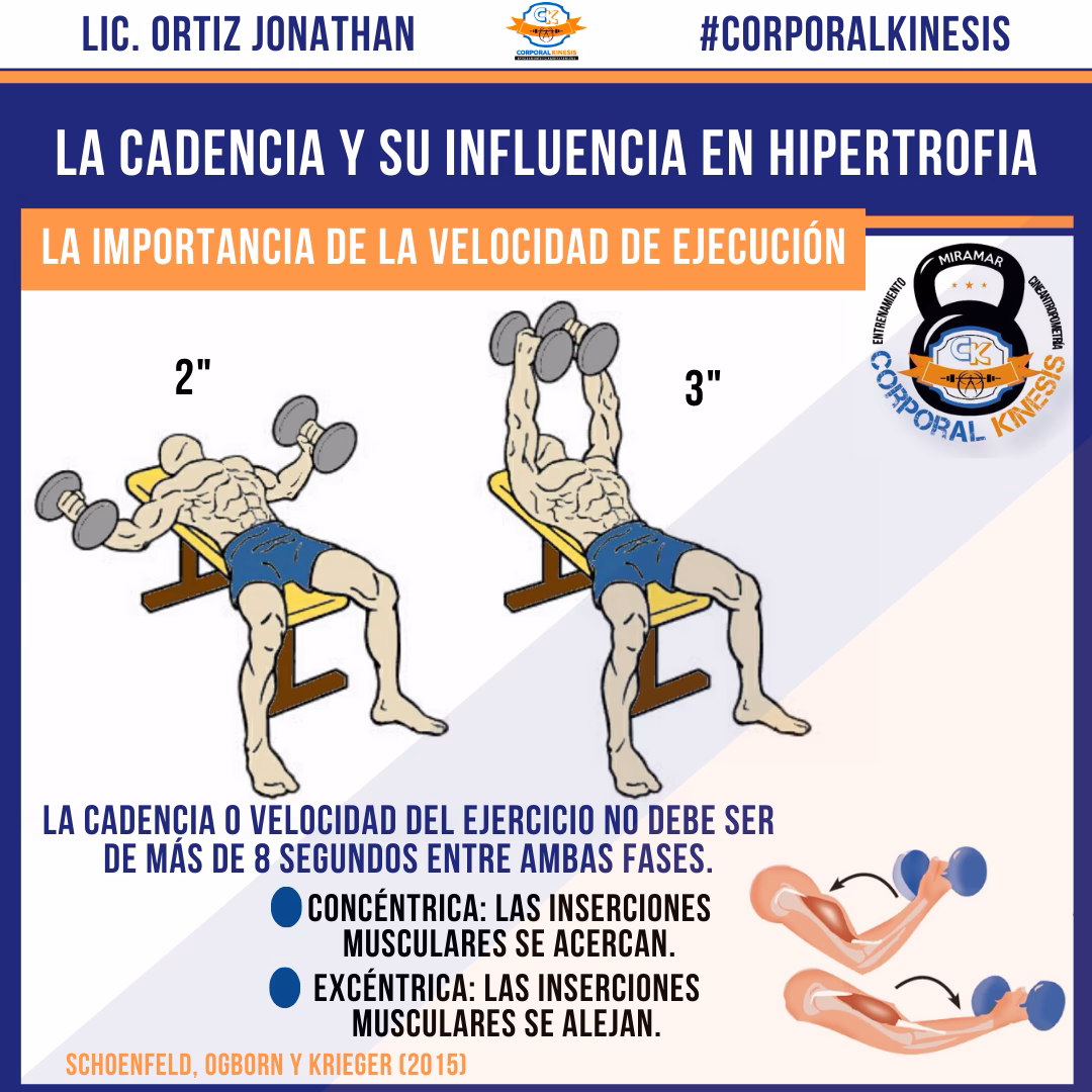 ¿Qué ejercicios hacer para tener hipertrofia?
