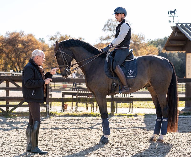 ¿Qué deportes hípicos?