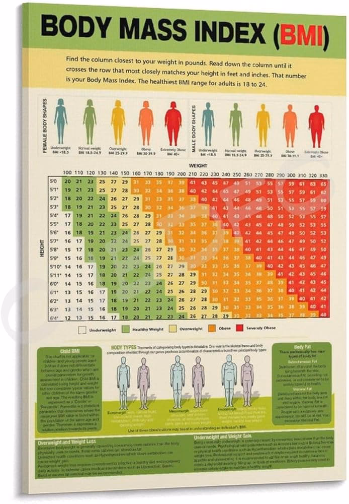 ¿Qué es la prueba de IMC para el gimnasio?