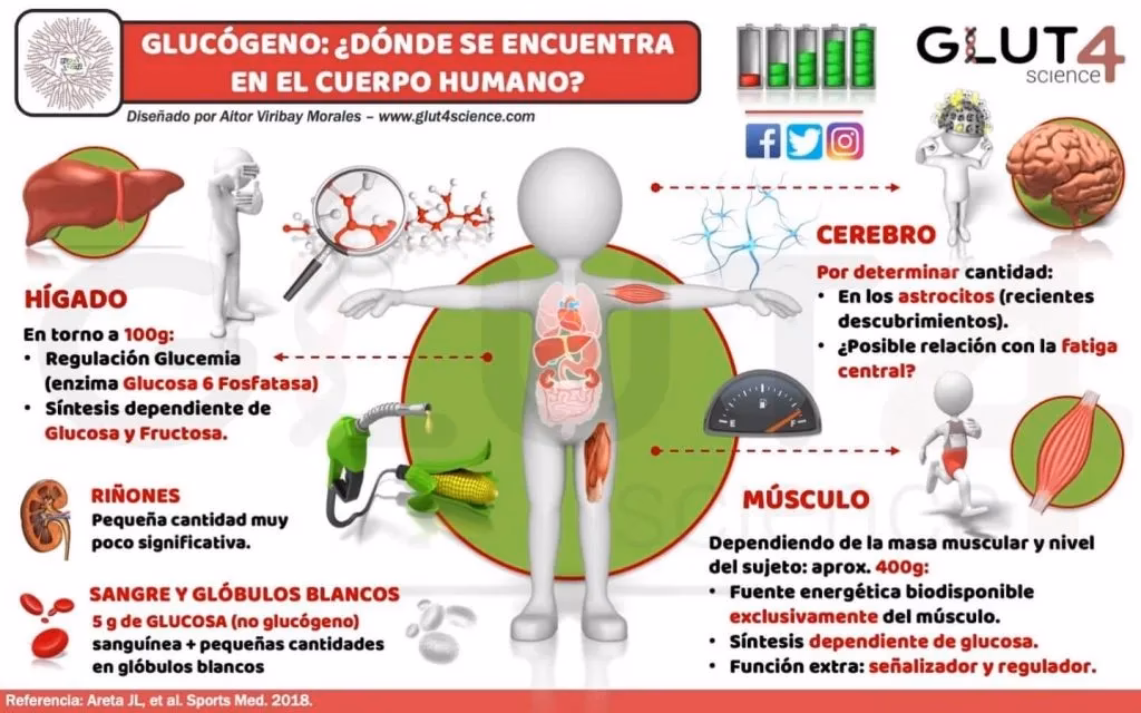 ¿Por qué son importantes los carbohidratos para hacer ejercicio?