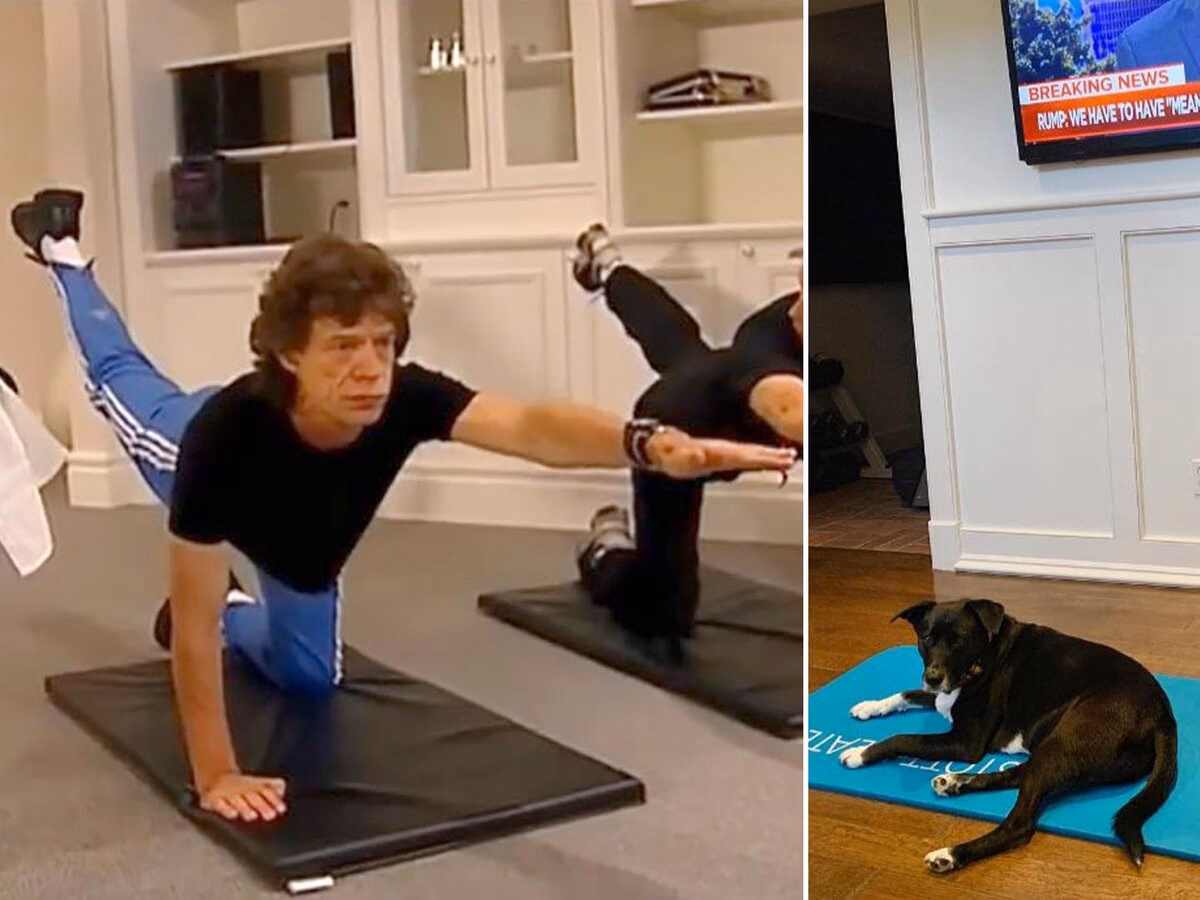 ¿Qué estudios tiene Jagger?