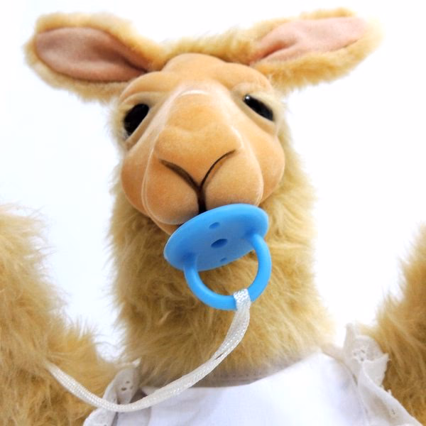 ¿Quién es el presidente de la gimnasia de Jujuy?