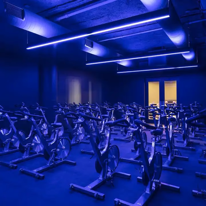 ¿Qué luz es mejor para un gimnasio?