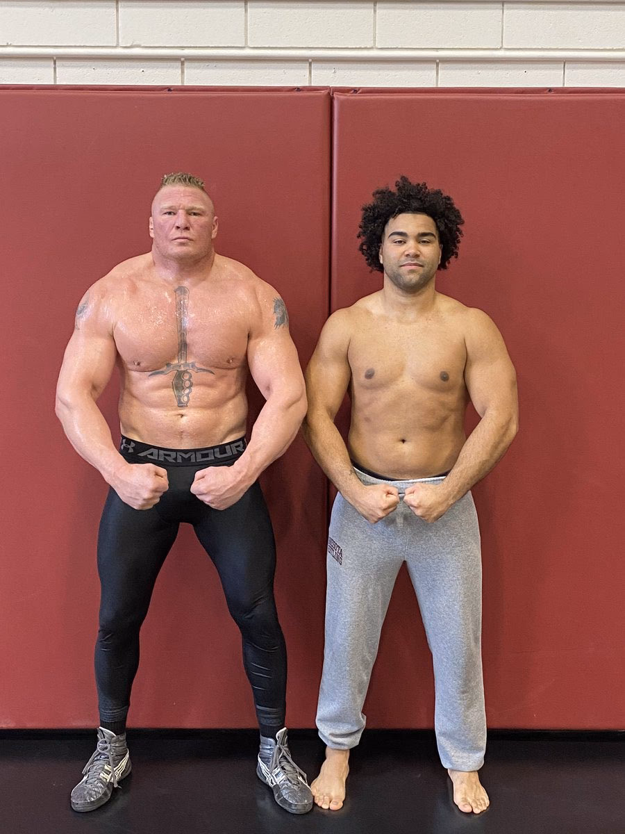How much intestine did Brock Lesnar have removed?