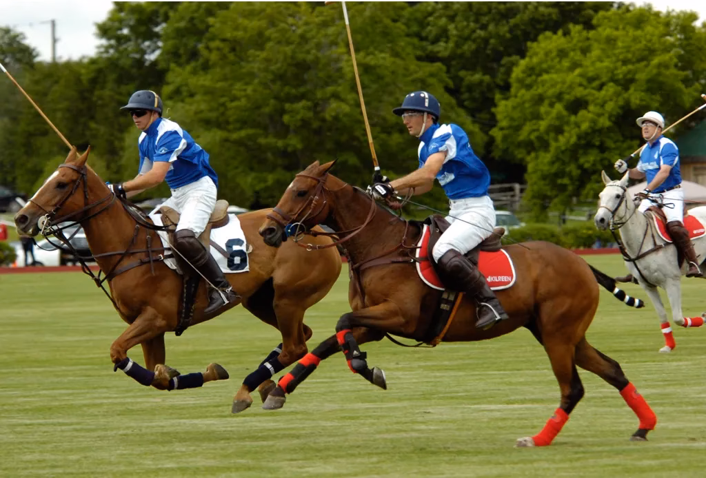 ¿Qué deporte es el más costoso?