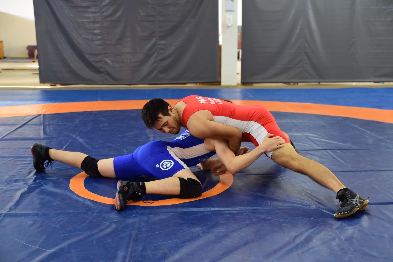 ¿Qué deportes de lucha son olímpicos?