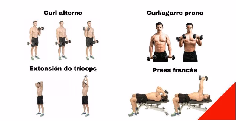 ¿Cuál es el peso ideal de mancuernas para principiantes?