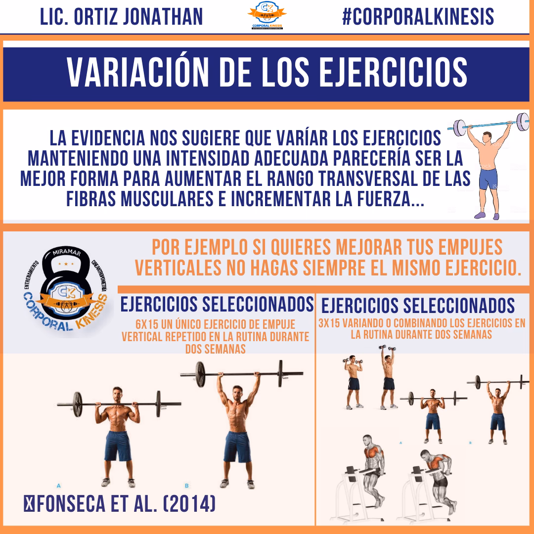 ¿Cuáles son los metodos de hipertrofia?