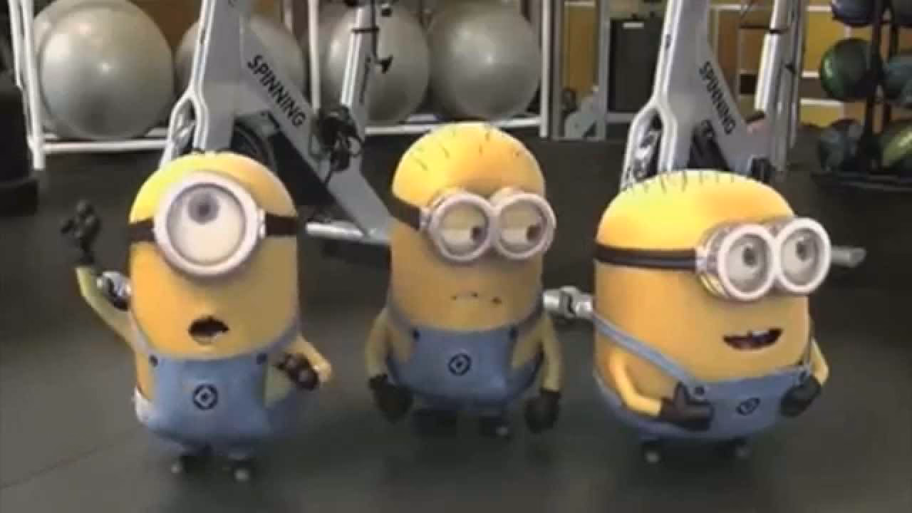 What are the 4 types of Minions?