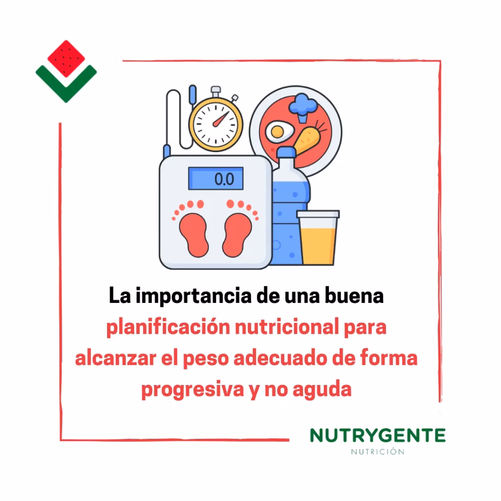 ¿Cuáles son los 4 procesos de la nutrición deportiva?