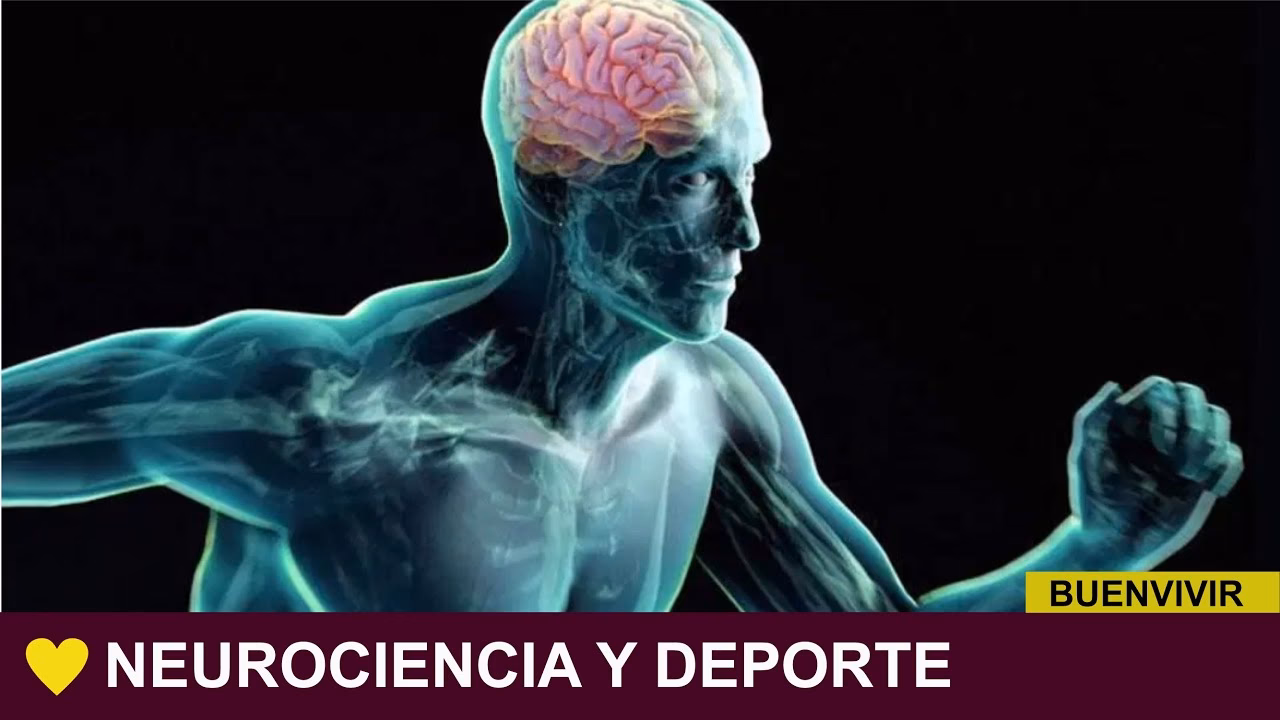 ¿Cómo se relaciona la neurociencia con el deporte?