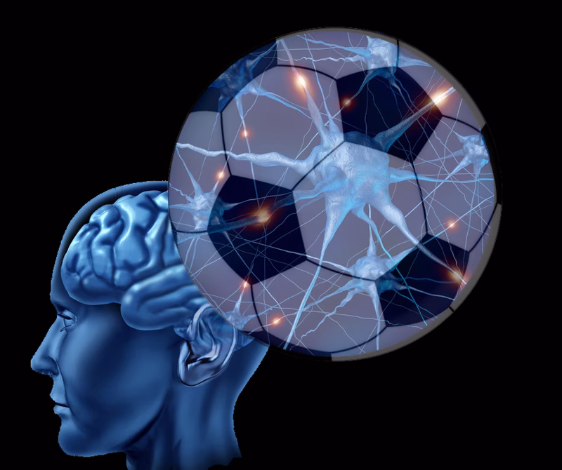 ¿Qué es la neurociencia en la educación física?