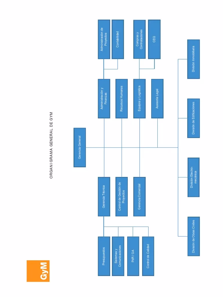 ¿Cuál es la estructura corporativa de un gimnasio?