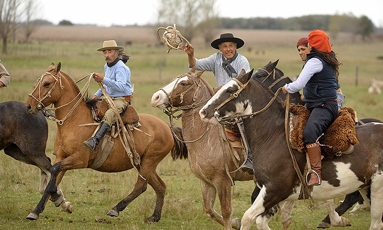 ¿Qué deporte tiene un pato?